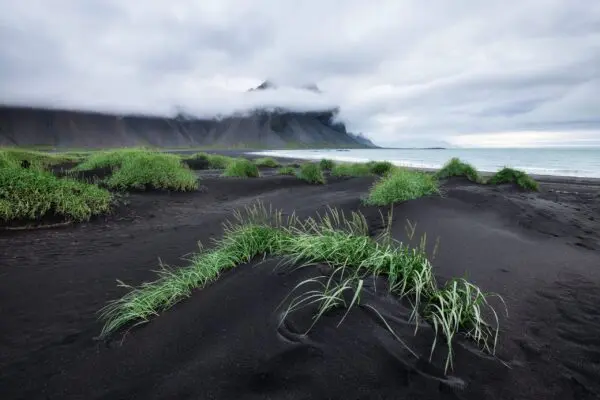 9-day self-drive tour around Iceland, Stokksnes.