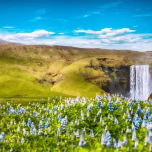 15-Day Self-Drive Tour around Iceland, Skogafoss waterfall.
