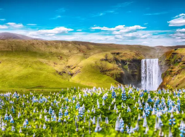 15-Day Self-Drive Tour around Iceland, Skogafoss waterfall.