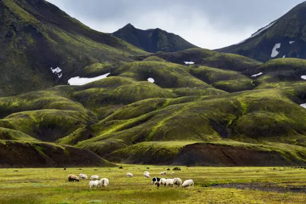 15-Day Self-Drive Tour around Iceland, Landmannalaugar.