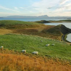 5-Day Self-Drive Tour around North Iceland, lake Myvatn.