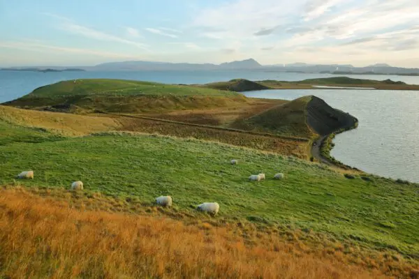 5-Day Self-Drive Tour around North Iceland, lake Myvatn.