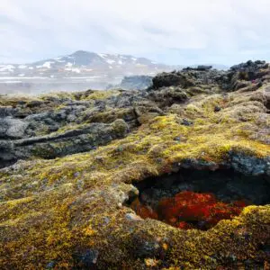 5-Day Self-Drive Tour around North Iceland, Krafla volcano.