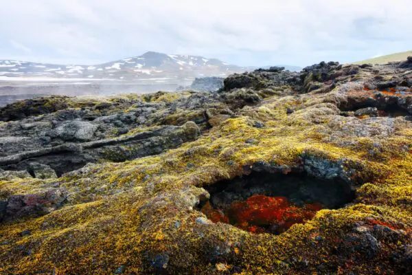 5-Day Self-Drive Tour around North Iceland, Krafla volcano.