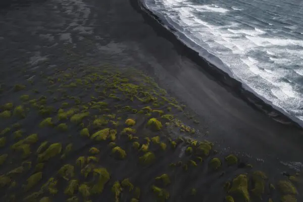 8-Day Highland Road & Hiking Trip in Iceland, black beach on the South Coast.