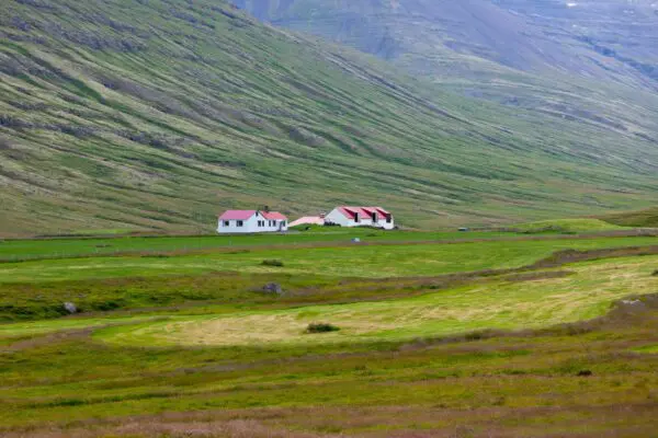 8-Day Self-Drive Road Trip around Wild Westfjords, remote farm.