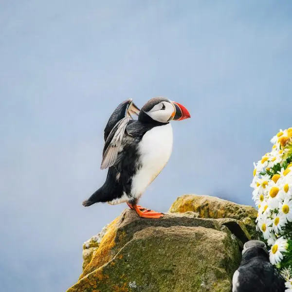 Vacation in the Faroe Islands.