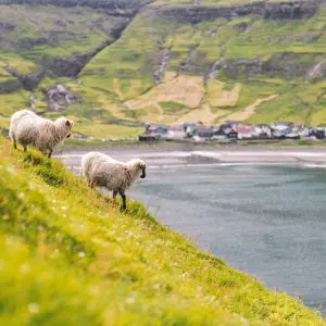 4-Day Summer Self-Drive Tour in the Faroe Islands.