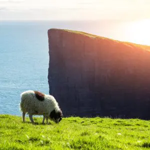 8-Day Summer Self-Drive Tour: Wonders of the Faroe Islands.