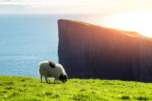 8-Day Summer Self-Drive Tour: Wonders of the Faroe Islands.