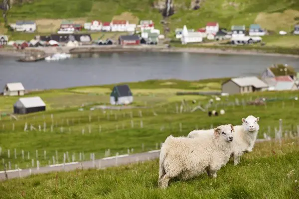 8-Day Summer Self-Drive Tour: Wonders of the Faroe Islands.