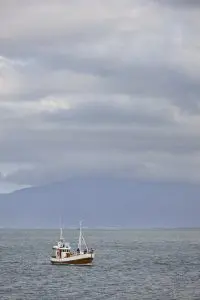 Whale Watching Trips in Iceland.