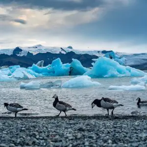 10-Day Self-Drive Iceland Ring Road Tour with 2026 Solar Eclipse Experience - Image 12