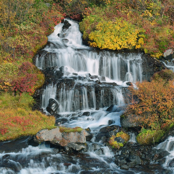 Vacation in Iceland, Hraunfossar waterfall.