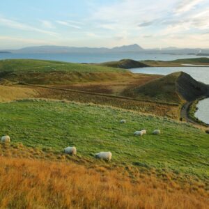 5-Day Self-Drive Tour around North Iceland, lake Myvatn.