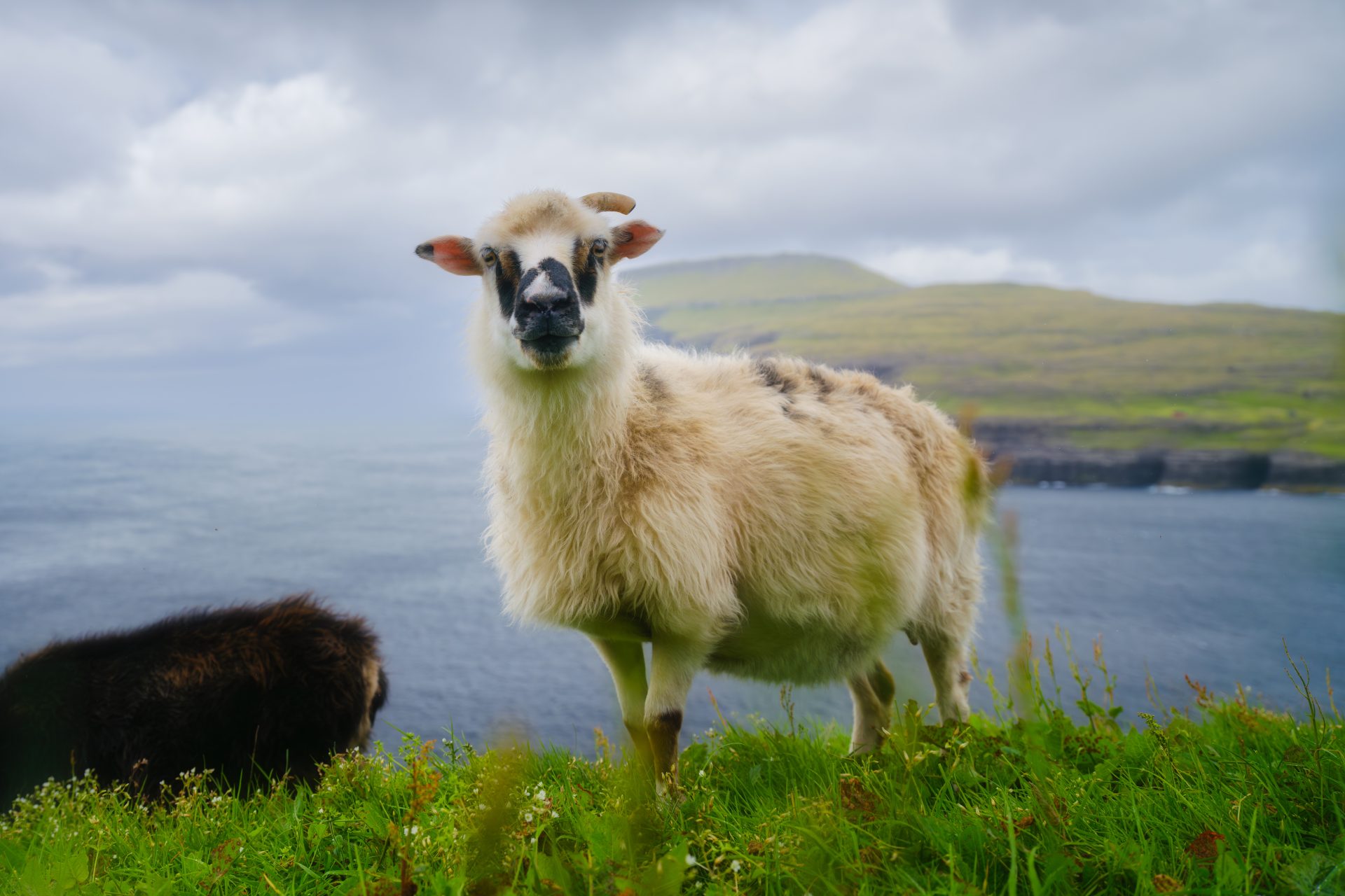 The best self-drive tours in Iceland and the Faroe Islands from the locals.