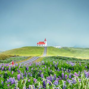 6-Day South and West Iceland Self-Drive Tour: Golden Circle & Snæfellsnes - Image 11
