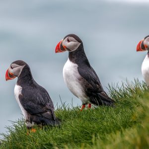 8-Day North Iceland Self-Drive Tour | Diamond Circle & Arctic Landscapes - Image 5