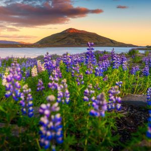 8-Day North Iceland Self-Drive Tour | Diamond Circle & Arctic Landscapes - Image 4