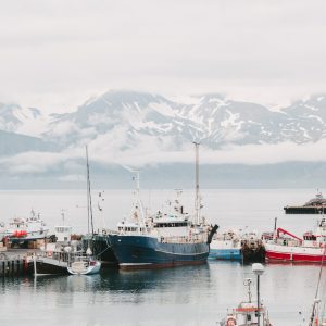 9-Day Half Ring Self-Drive Tour in Iceland: Golden Circle & Diamond Circle Itinerary - Image 12
