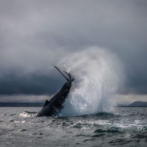 9-Day Half Ring Self-Drive Tour in Iceland: Golden Circle & Diamond Circle Itinerary - Image 11