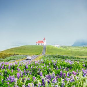 9-Day Half Ring Self-Drive Tour in Iceland: Golden Circle & Diamond Circle Itinerary - Image 4