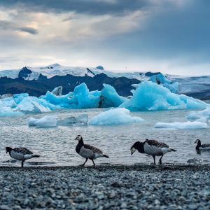 10-Day Self-Drive Iceland Ring Road Tour with 2026 Solar Eclipse Experience - Image 12